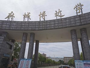 1590406044038.jpg img2.jpg